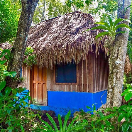 Cabanas La Selva Hotel Champotón Eksteriør billede