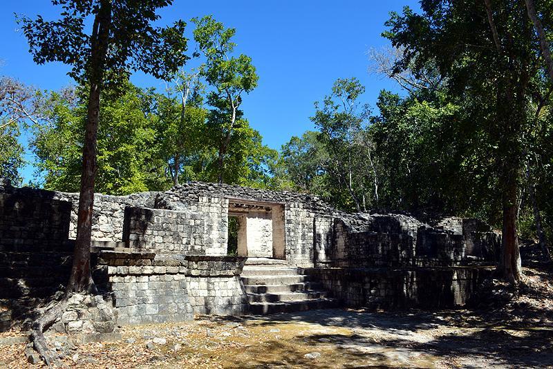 Cabanas La Selva Hotel Champotón Eksteriør billede