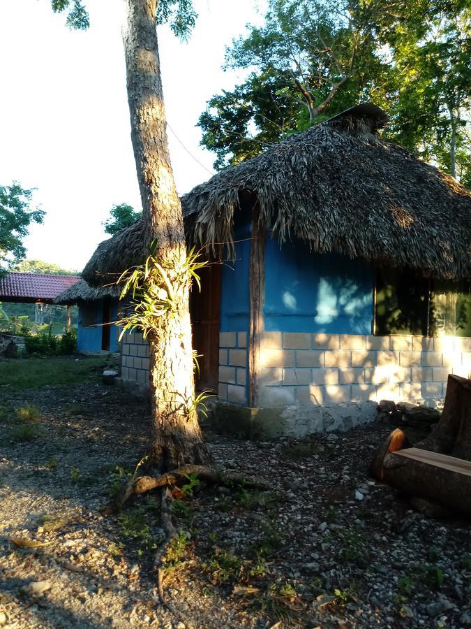 Cabanas La Selva Hotel Champotón Eksteriør billede